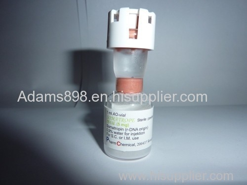 What is Hcg injections for men